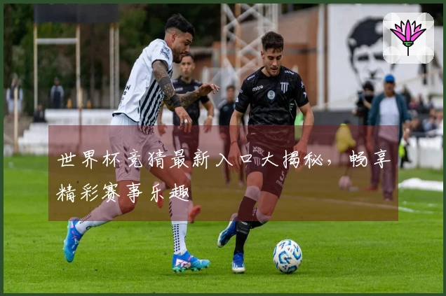 世界杯竞猜最新入口大揭秘，畅享精彩赛事乐趣