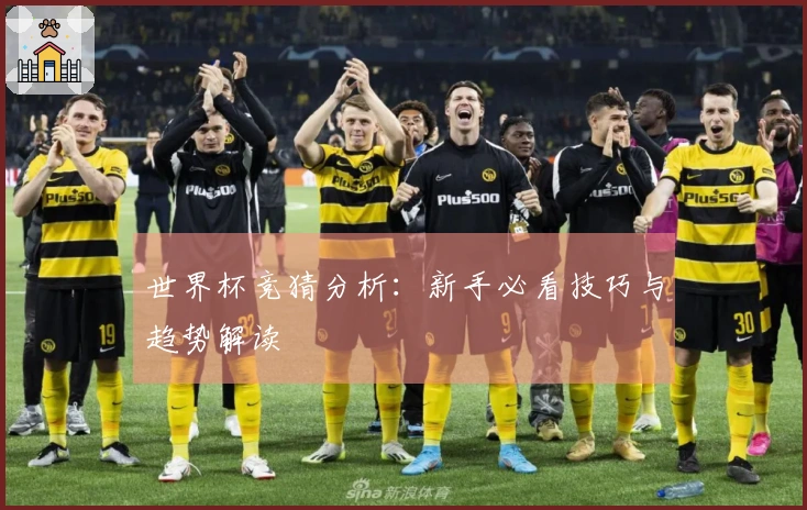 世界杯竞猜分析：新手必看技巧与趋势解读