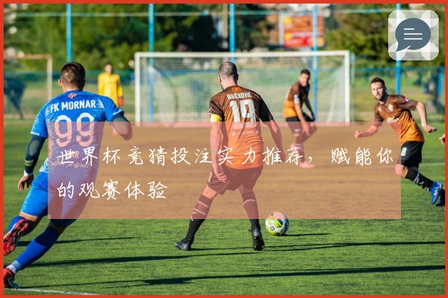 世界杯竞猜投注实力推荐，赋能你的观赛体验