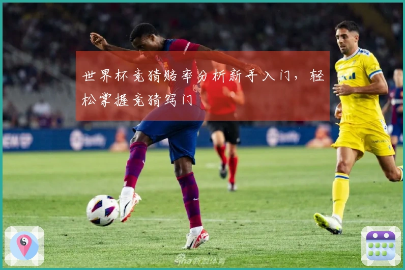 世界杯竞猜赔率分析新手入门，轻松掌握竞猜窍门