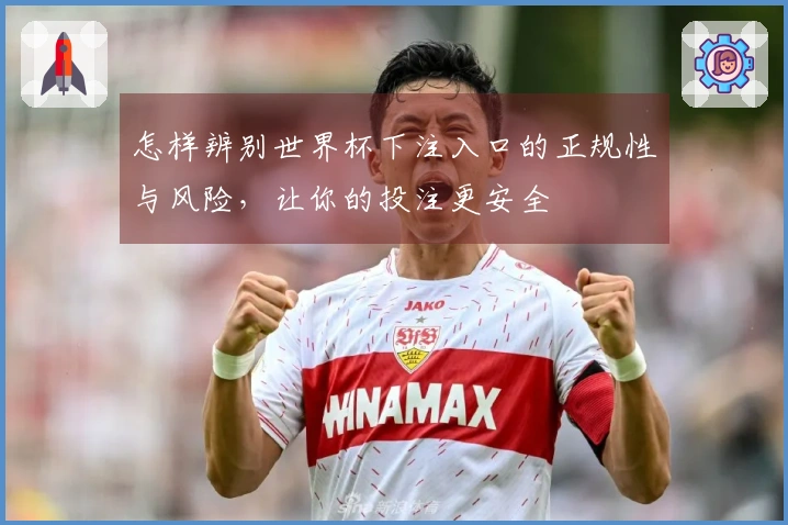怎样辨别世界杯下注入口的正规性与风险，让你的投注更安全
