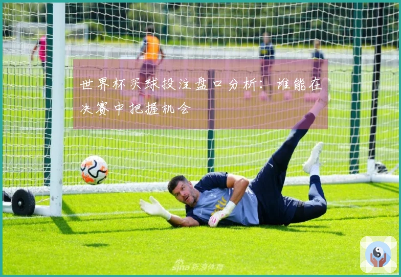 世界杯买球投注盘口分析：谁能在决赛中把握机会