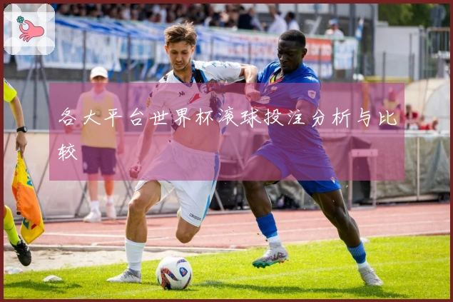 各大平台世界杯滚球投注分析与比较