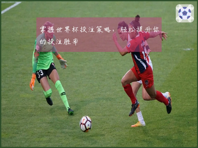 掌握世界杯投注策略，轻松提升你的投注胜率