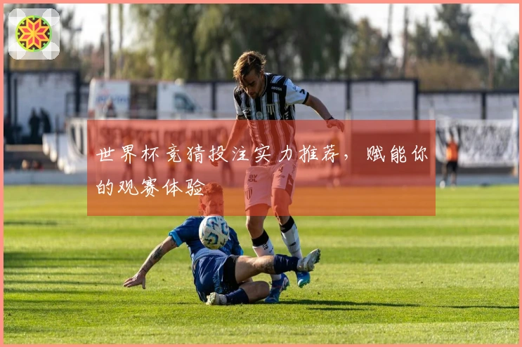 世界杯竞猜投注实力推荐，赋能你的观赛体验