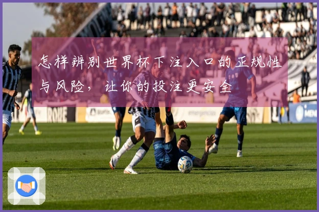 怎样辨别世界杯下注入口的正规性与风险，让你的投注更安全