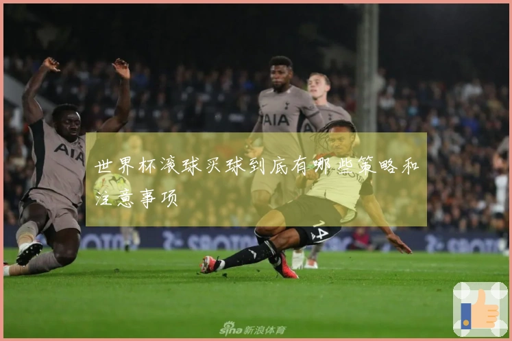 世界杯滚球买球到底有哪些策略和注意事项