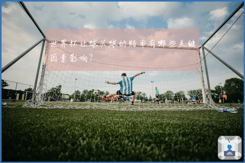 世界杯让球买球的赔率有哪些关键因素影响？