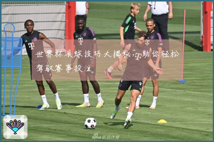 世界杯滚球技巧大揭秘，助你轻松驾驭赛事投注