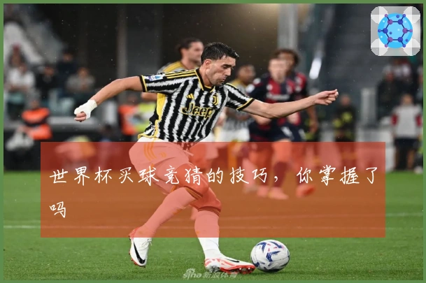 世界杯买球竞猜的技巧，你掌握了吗