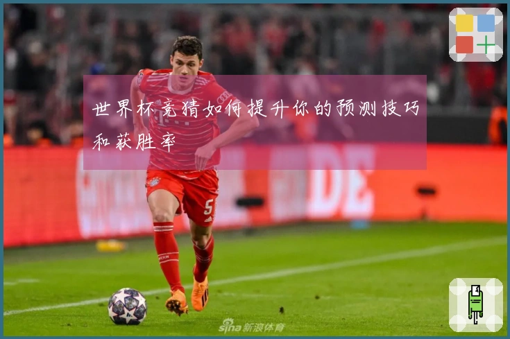 世界杯竞猜如何提升你的预测技巧和获胜率