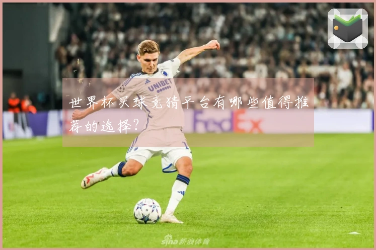 世界杯买球竞猜平台有哪些值得推荐的选择？