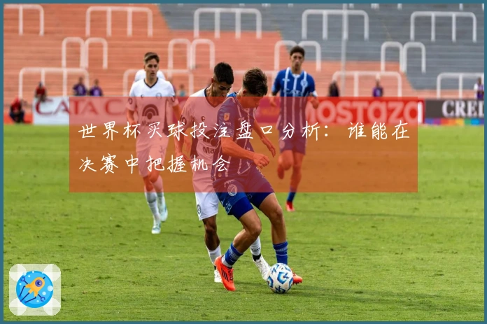 世界杯买球投注盘口分析：谁能在决赛中把握机会
