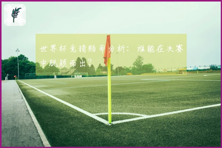世界杯竞猜赔率分析：谁能在决赛中脱颖而出？